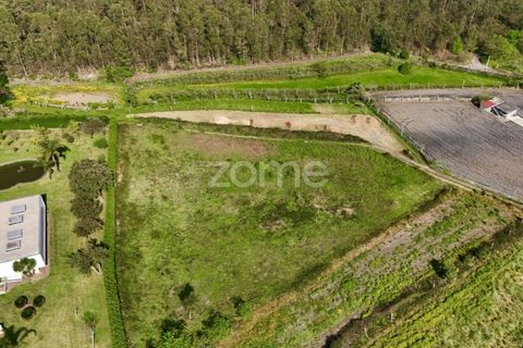 Tomt i Ribeirao, Braga, Ribeirao - € 102 000 | Ref: ZMPT575559 - foto 15