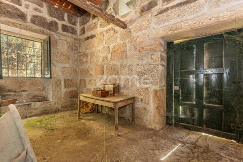 Cortijo i Castro Daire, Viseu, Castro Daire - € 650.000 | Ref: ZMPT580774 - foto 26