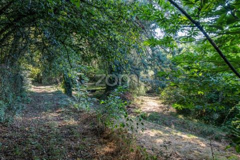 Cortijo i Castro Daire, Viseu, Castro Daire - € 650.000 | Ref: ZMPT580774 - foto 31