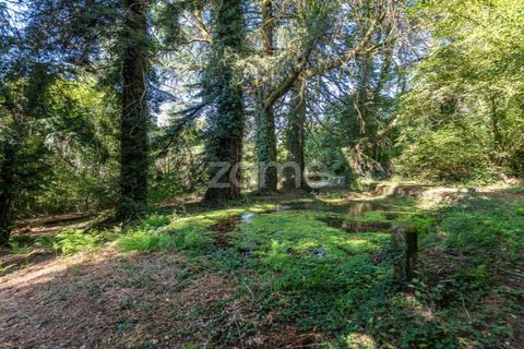 Cortijo i Castro Daire, Viseu, Castro Daire - € 650.000 | Ref: ZMPT580774 - foto 34