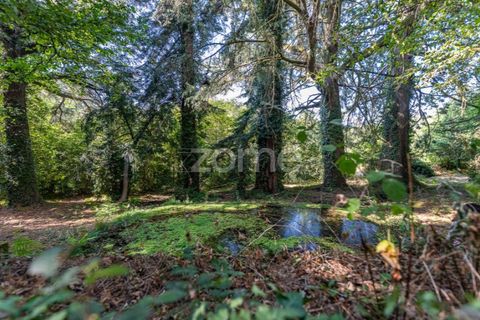 Cortijo i Castro Daire, Viseu, Castro Daire - € 650.000 | Ref: ZMPT580774 - foto 35