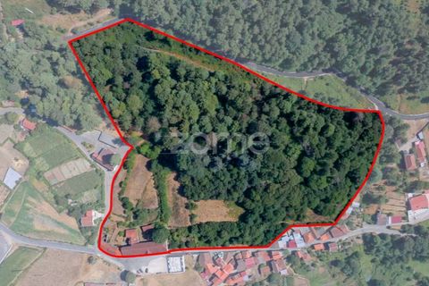 Cortijo i Castro Daire, Viseu, Castro Daire - € 650.000 | Ref: ZMPT580774 - foto 41
