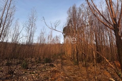 Helårsgrund i Melres e Medas, Porto, Melres e Medas - € 65.000 | Ref: ZMPT584759 - foto 3