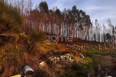 Helårsgrund i Melres e Medas, Porto, Melres e Medas - € 65.000 | Ref: ZMPT584759 - foto 7