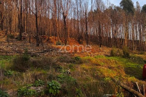 Helårsgrund i Melres e Medas, Porto, Melres e Medas - € 65.000 | Ref: ZMPT584759 - foto 8