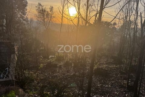 Helårsgrund i Melres e Medas, Porto, Melres e Medas - € 65.000 | Ref: ZMPT584759 - foto 13