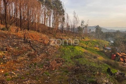Helårsgrund i Melres e Medas, Porto, Melres e Medas - € 65.000 | Ref: ZMPT584759 - foto 16