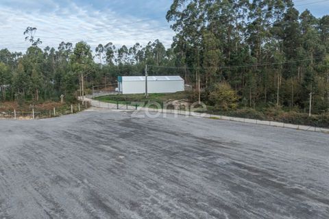 Land in Trofa, Porto, Trofa - € 1,950/month | Ref: ZMPT572899 - photo 1