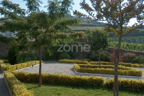 Farm i Ervedosa do Douro, Viseu, Ervedosa do Douro - € 850.000 | Ref: ZMPT559352 - foto 49