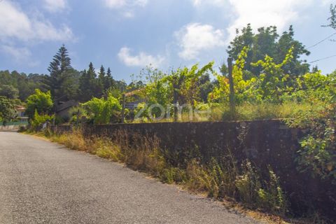 Helårsgrund i Guimaraes, Braga, Guimaraes - € 50.000 | Ref: ZMPT590842 - foto 3