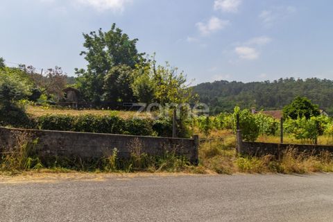 Helårsgrund i Guimaraes, Braga, Guimaraes - € 50.000 | Ref: ZMPT590842 - foto 4