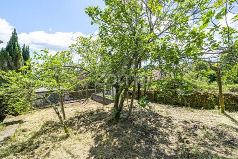 Haus in Vade, Braga, Vade - € 180.000 | Ref: ZMPT577075 - Foto 9