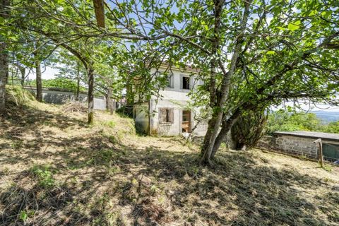 Haus in Vade, Braga, Vade - € 180.000 | Ref: ZMPT577075 - Foto 17