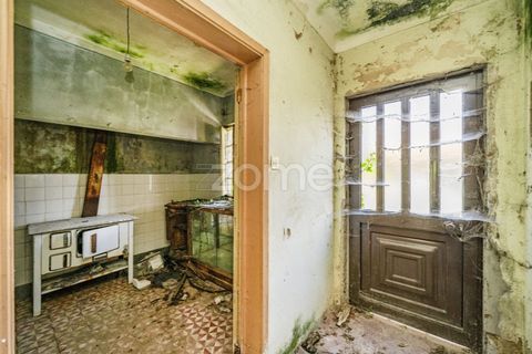 Haus in Vade, Braga, Vade - € 180.000 | Ref: ZMPT577075 - Foto 23