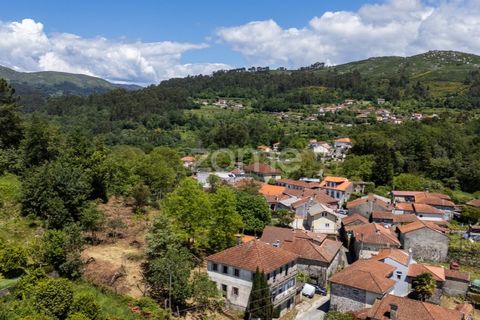Haus in Vade, Braga, Vade - € 180.000 | Ref: ZMPT577075 - Foto 29