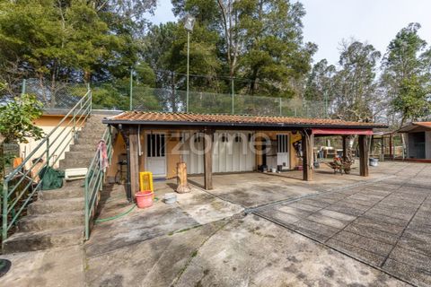 Villa i Grijo, Porto, Grijo - € 695.000 | Ref: ZMPT575844 - foto 22