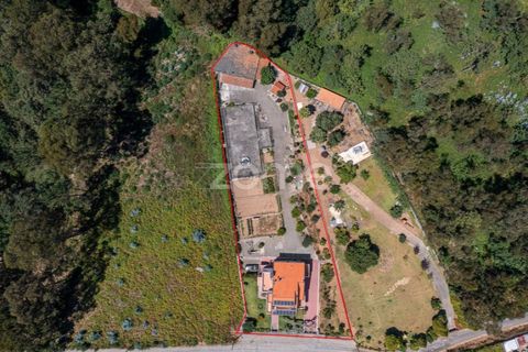 Villa i Grijo, Porto, Grijo - € 695.000 | Ref: ZMPT575844 - foto 27