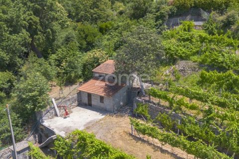 Helårsgrund i Souselo, Viseu, Souselo - € 149.500 | Ref: ZMPT590060 - foto 4