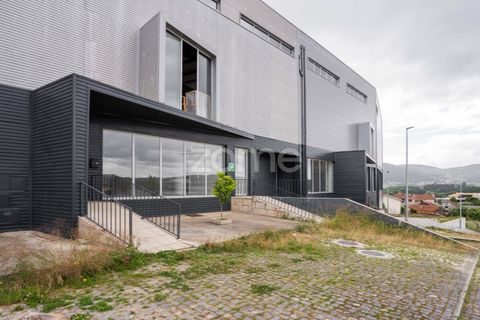Bungalow i Santo Tirso, Porto, Santo Tirso - € 590.000 | Ref: ZMPT589016 - foto 4