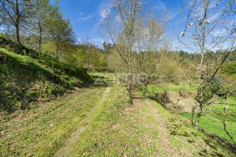 Helårsgrund i Guimaraes, Braga, Guimaraes - € 99.900 | Ref: ZMPT587614 - foto 5