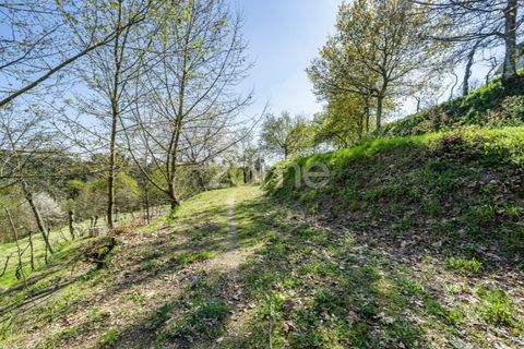 Helårsgrund i Guimaraes, Braga, Guimaraes - € 99.900 | Ref: ZMPT587614 - foto 15