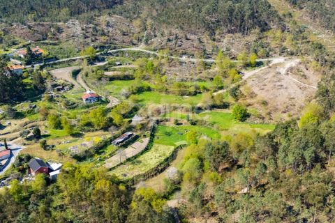 Helårsgrund i Guimaraes, Braga, Guimaraes - € 99.900 | Ref: ZMPT587614 - foto 29