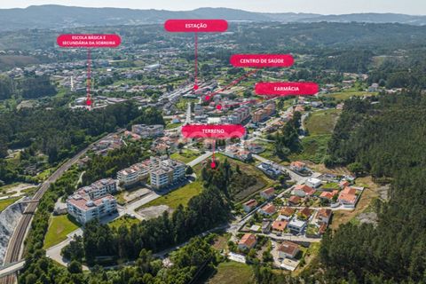 Terra a Sobreira, Porto, Sobreira - € 200.000 | Ref: ZMPT567759 - foto 3