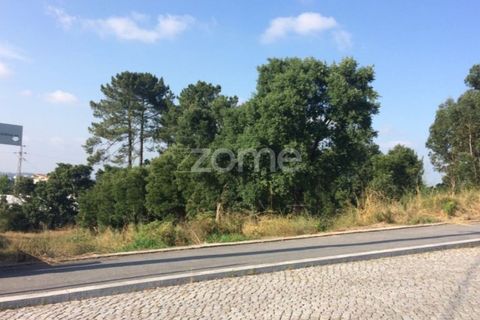 Helårsgrund i Pedroucos, Porto, Pedroucos - € 1.075.000 | Ref: ZMPT525996 - foto 7