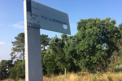Helårsgrund i Pedroucos, Porto, Pedroucos - € 1.075.000 | Ref: ZMPT525996 - foto 8