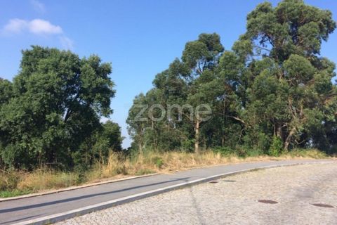 Helårsgrund i Pedroucos, Porto, Pedroucos - € 1.075.000 | Ref: ZMPT525996 - foto 9