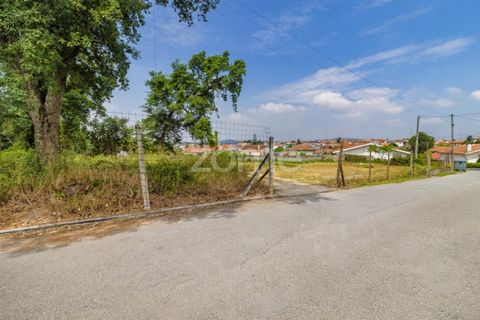 Helårsgrund i Santo Tirso, Porto, Santo Tirso - € 1.200.000 | Ref: ZMPT558382 - foto 4