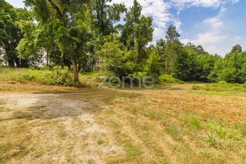 Helårsgrund i Santo Tirso, Porto, Santo Tirso - € 1.200.000 | Ref: ZMPT558382 - foto 5