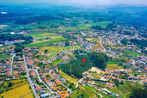 Helårsgrund i Santo Tirso, Porto, Santo Tirso - € 1.200.000 | Ref: ZMPT558382 - foto 11
