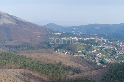 Helårsgrund i Penafiel, Porto, Penafiel - € 250.000 | Ref: ZMPT586597 - foto 4