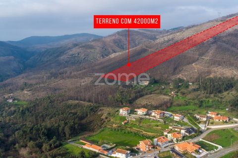 Helårsgrund i Penafiel, Porto, Penafiel - € 250.000 | Ref: ZMPT586597 - foto 8