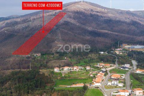 Helårsgrund i Penafiel, Porto, Penafiel - € 250.000 | Ref: ZMPT586597 - foto 10