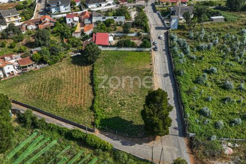 Helårsgrund i Grijo, Porto, Grijo - € 65.000 | Ref: ZMPT578733 - foto 10