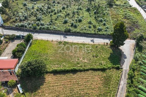Helårsgrund i Grijo, Porto, Grijo - € 65.000 | Ref: ZMPT578733 - foto 11