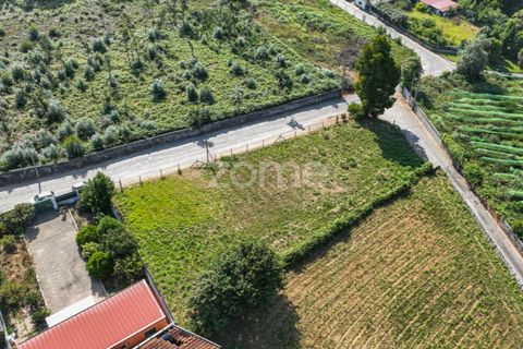 Helårsgrund i Grijo, Porto, Grijo - € 65.000 | Ref: ZMPT578733 - foto 12