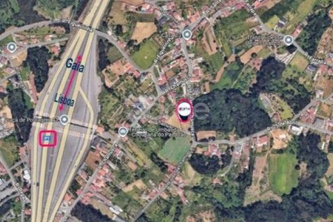 Helårsgrund i Grijo, Porto, Grijo - € 65.000 | Ref: ZMPT578733 - foto 16