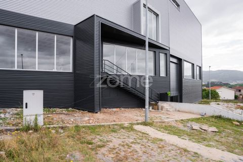 Bungalow i Santo Tirso, Porto, Santo Tirso - € 720.000 | Ref: ZMPT589031 - foto 12
