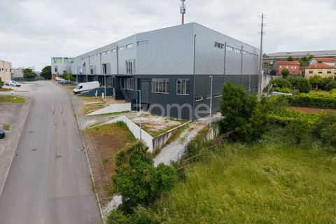 Bungalow i Santo Tirso, Porto, Santo Tirso - € 720.000 | Ref: ZMPT589031 - foto 13