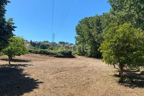 Helårsgrund i Esposende, Braga, Esposende - € 338.000 | Ref: ZMPT590232 - foto 3