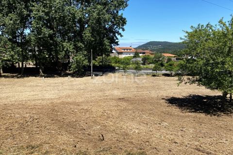 Helårsgrund i Esposende, Braga, Esposende - € 338.000 | Ref: ZMPT590232 - foto 7