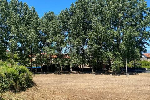 Helårsgrund i Esposende, Braga, Esposende - € 338.000 | Ref: ZMPT590232 - foto 9