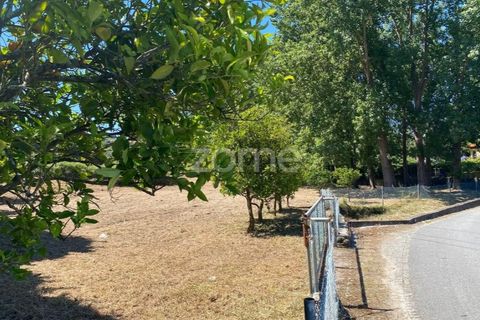 Helårsgrund i Esposende, Braga, Esposende - € 338.000 | Ref: ZMPT590232 - foto 11