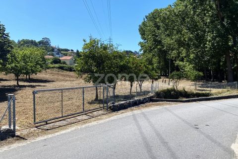 Helårsgrund i Esposende, Braga, Esposende - € 338.000 | Ref: ZMPT590232 - foto 12