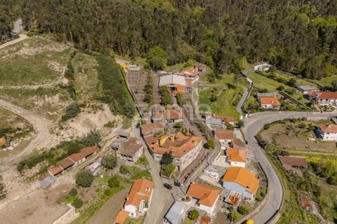 Farm i Curvos, Braga, Curvos - € 1.100.000 | Ref: ZMPT590441 - foto 2