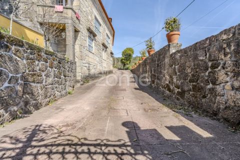 Farm i Curvos, Braga, Curvos - € 1.100.000 | Ref: ZMPT590441 - foto 3