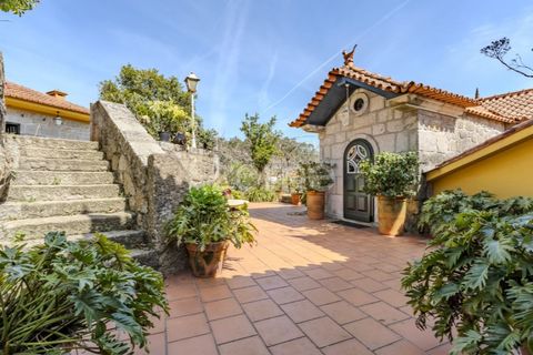 Farm i Curvos, Braga, Curvos - € 1.100.000 | Ref: ZMPT590441 - foto 4